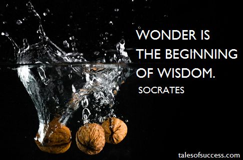 SOCRATES QUOTES image quotes at relatably.com SOCRATES QUOTES image quotes at relatably.com