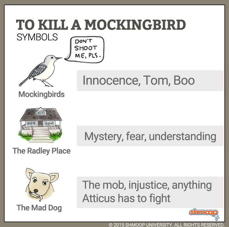 to kill a mockingbird ch 21-25 summary