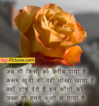 Love Quotes For Her In Hindi true love quotes for girlfriend in hindi ...