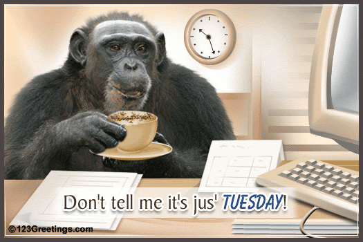 Good morning tuesday meme pictures Good morning tuesday meme pictures