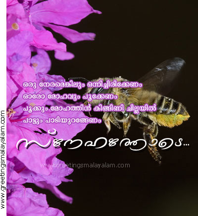 VALENTINES DAY QUOTES IN MALAYALAM image quotes at VALENTINES DAY QUOTES IN MALAYALAM image quotes at