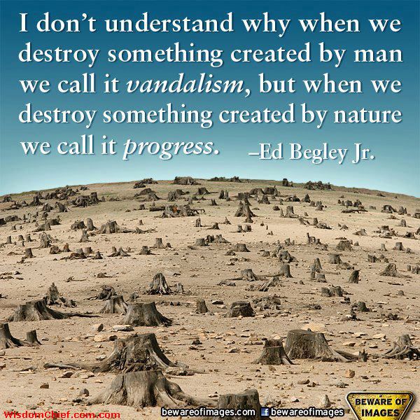 VANDALISM QUOTES image quotes at