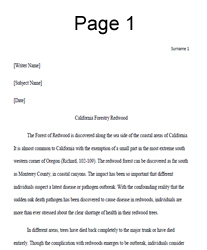 Write academic research paper pdf