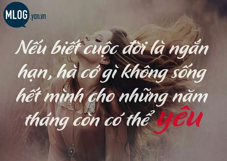 VIETNAMESE QUOTES image quotes at relatably.com