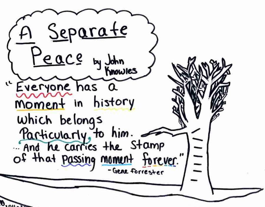Separate Peace Essays