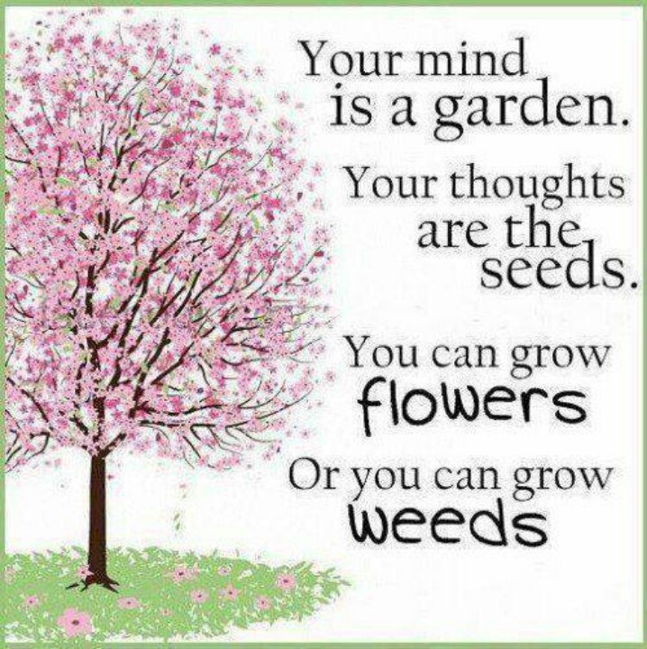 WATERING QUOTES image quotes at