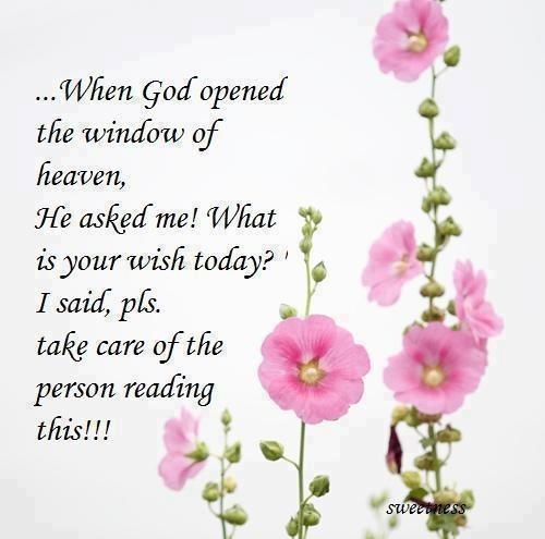 Image result for angel in heaven quotes