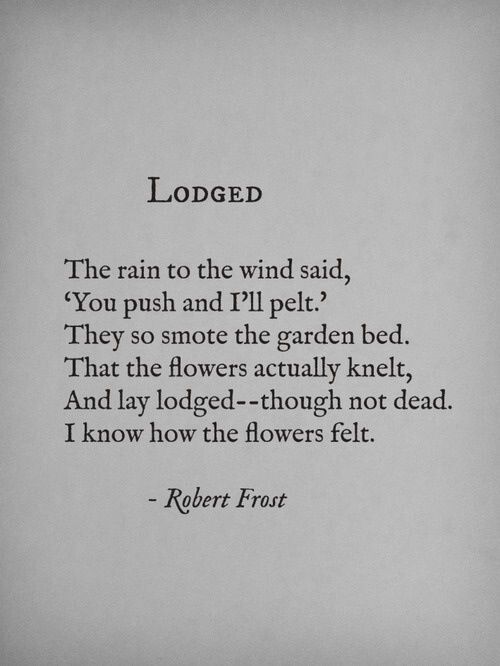 a look into life and works of robert frost Poet robert frost was born in san francisco, but his family moved to lawrence, massachusetts, in 1884 following his father’s death the move was actually a return, for frost’s ancestors were originally new englanders, and frost became famous for his poetry’s “regionalism,” or engagement with. a look into life and works of robert frost Poet robert frost was born in san francisco, but his family moved to lawrence, massachusetts, in 1884 following his father’s death the move was actually a return, for frost’s ancestors were originally new englanders, and frost became famous for his poetry’s “regionalism,” or engagement with.